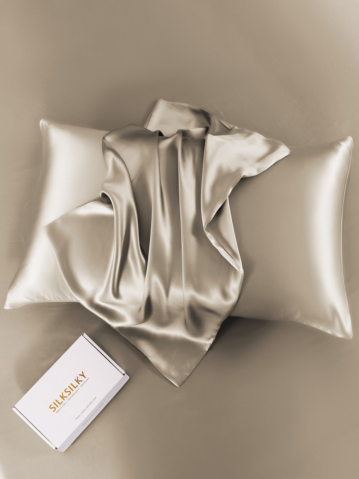 2Pcs 19Momme Pure Silk Pillowcases Bundle - Envelope