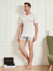 Mens Basic V-Neck Silk Knitted Tee